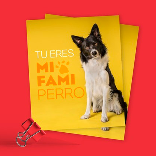 Esta es una imagen referencial
